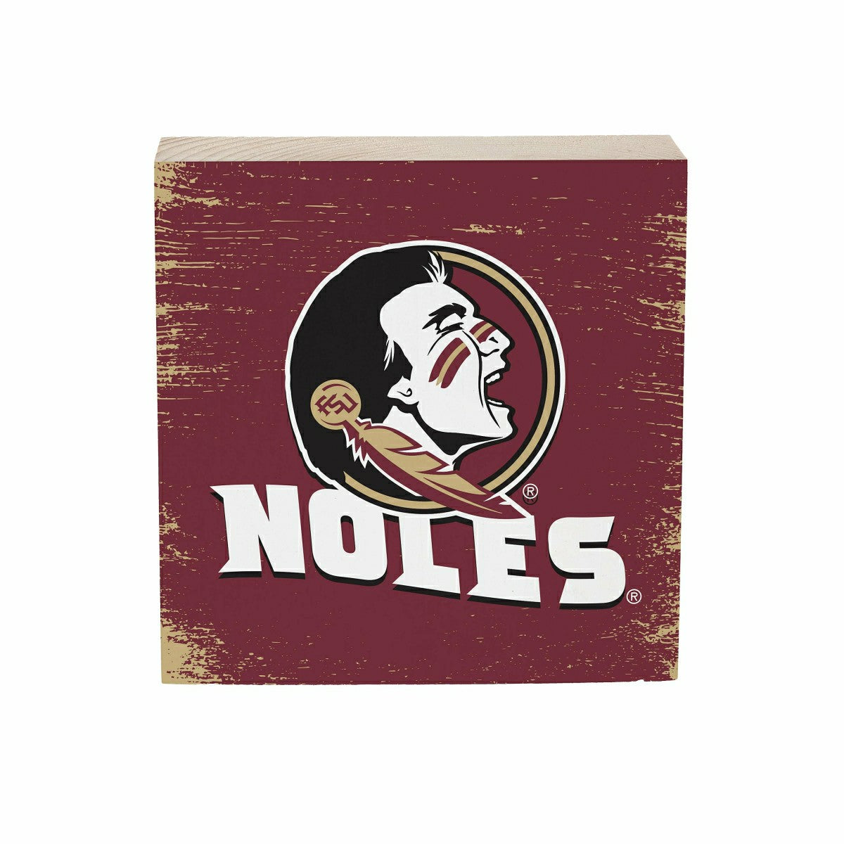 Florida State University Plock, Down Home Fans, 6x6, Collegiate, Home