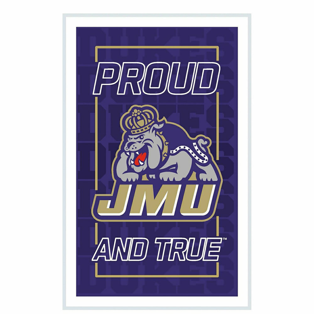 James Madison University College Rectangle Neolite LED Decor, Collegiate, Home