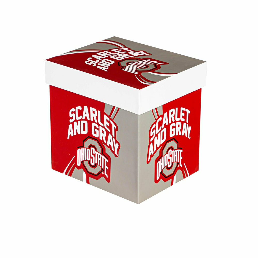Ohio State University, 14oz Ceramic Cup of Awesome with Matching Box, Collegiate, Home