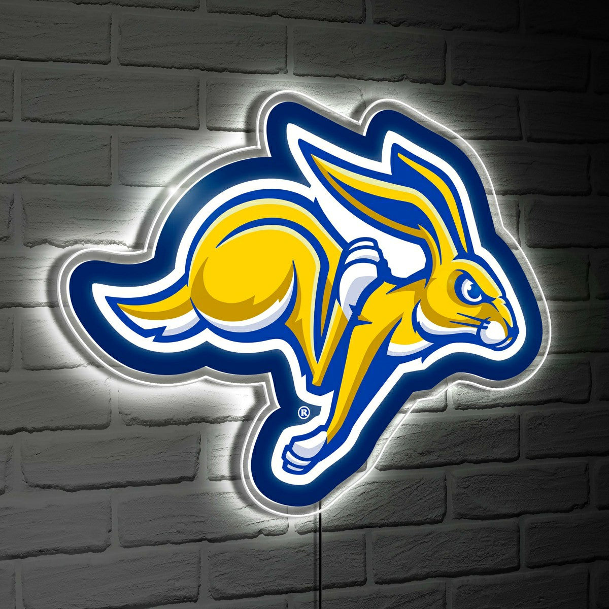 LED Wall Decor, Glazelite, College Mascot, South Dakota State Universi, Collegiate, Home
