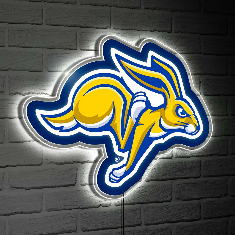 LED Wall Decor, Glazelite, College Mascot, South Dakota State Universi, Collegiate, Home
