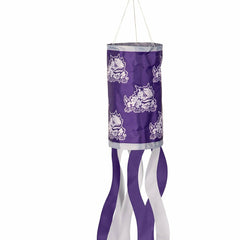 Texas Christian University Windsock, Collegiate, Home