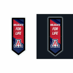 LED Wall Decor, Pennant, University of Arizona, Collegiate, Home