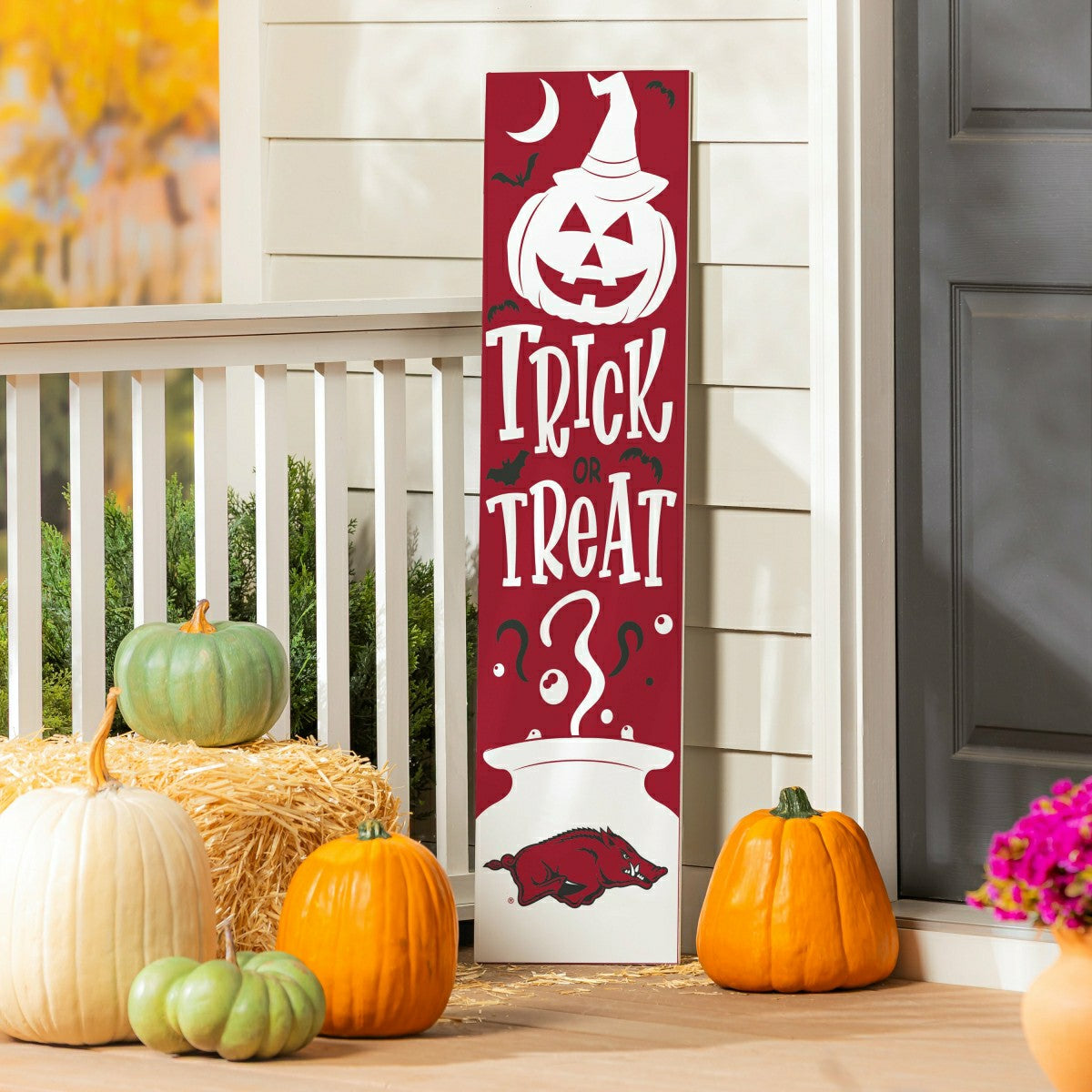 47" Double Sided Leaner, University of Arkansas, Halloween, Collegiate, Home