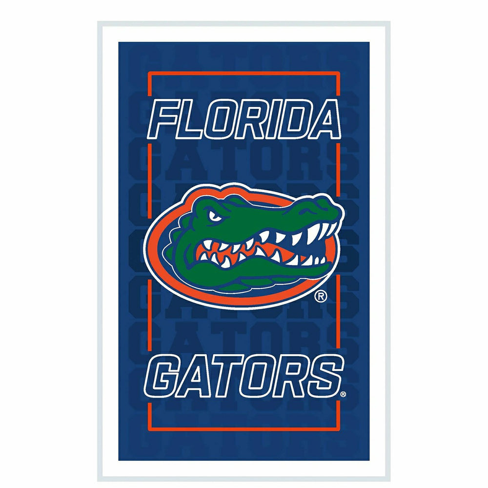 University of Florida College Rectangle Neolite LED Decor, Collegiate, Home