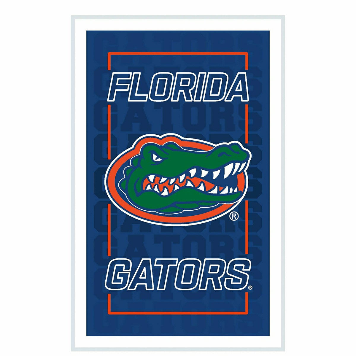 University of Florida College Rectangle Neolite LED Decor, Collegiate, Home
