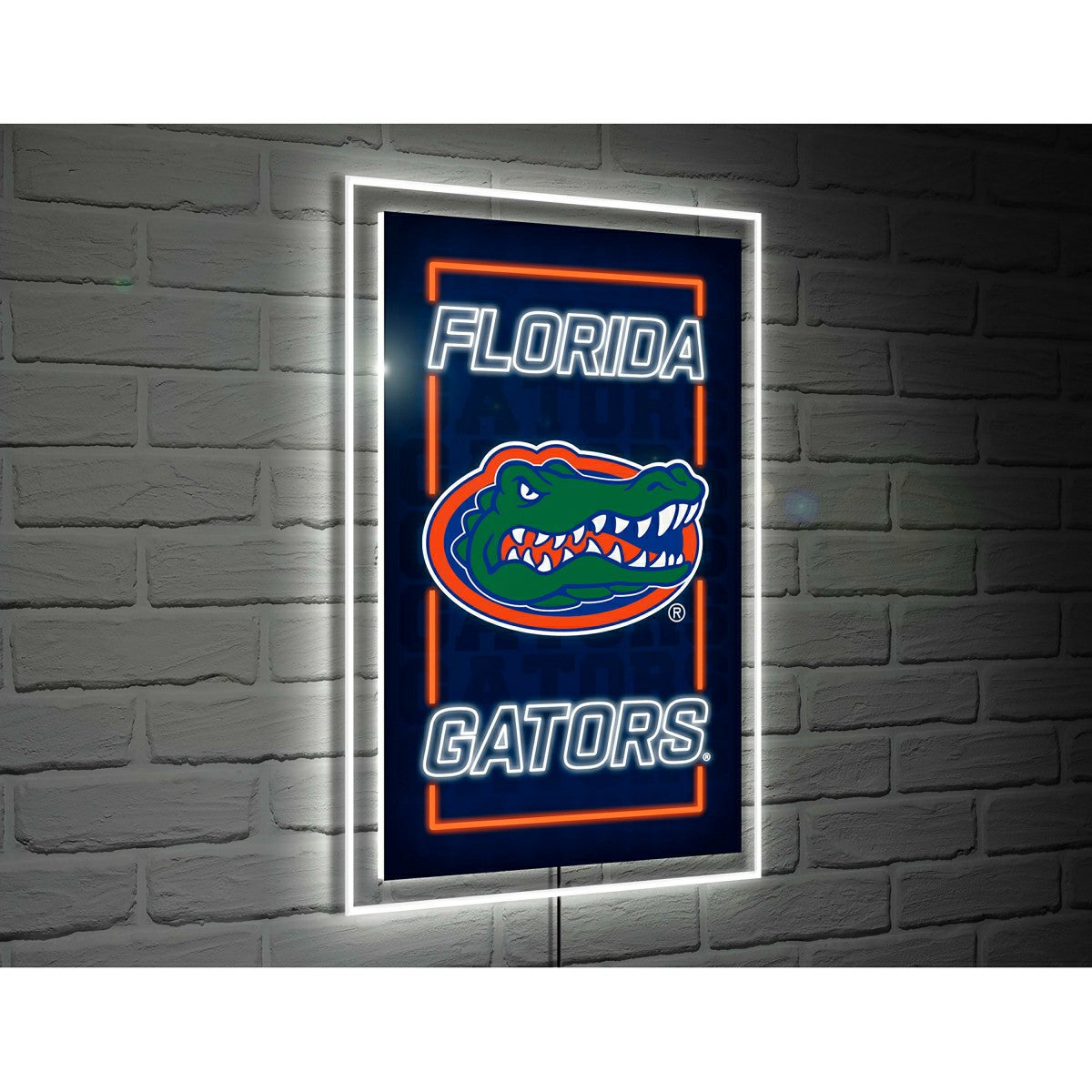 University of Florida College Rectangle Neolite LED Decor, Collegiate, Home