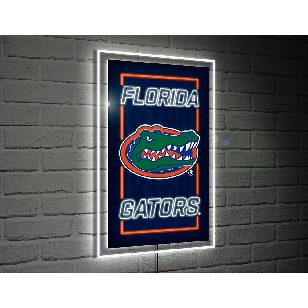 University of Florida College Rectangle Neolite LED Decor, Collegiate, Home