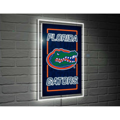University of Florida College Rectangle Neolite LED Decor, Collegiate, Home