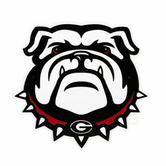 University of Georgia Premier Metal Wall Art, Collegiate, Home