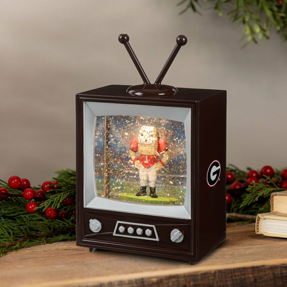 University of Georgia Vintage TV Water Lantern, Collegiate, Home