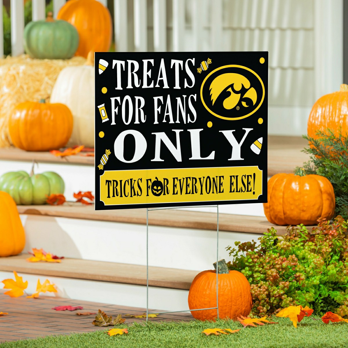 University of Iowa Yard Sign, Halloween Treats for Fans, Collegiate, Home