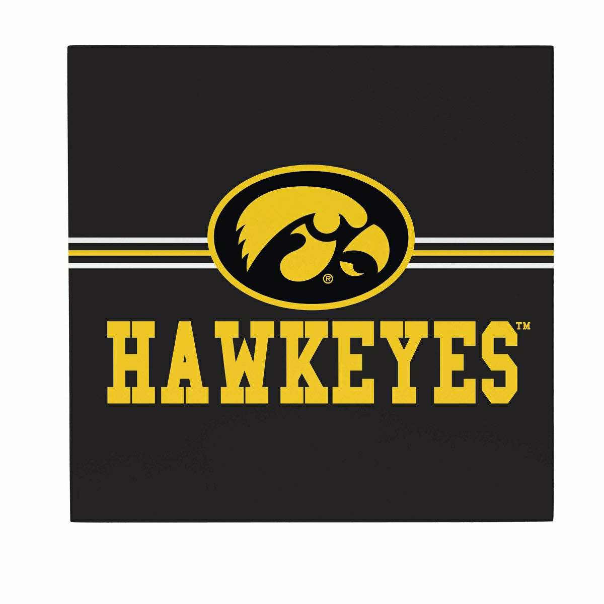 University of Iowa Wood Wall Sign, 12x12, Collegiate, Home