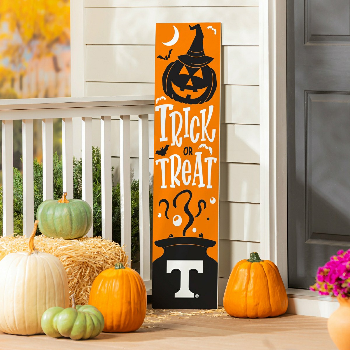 47" Double Sided Leaner, University of Tennessee, Halloween, Collegiate, Home