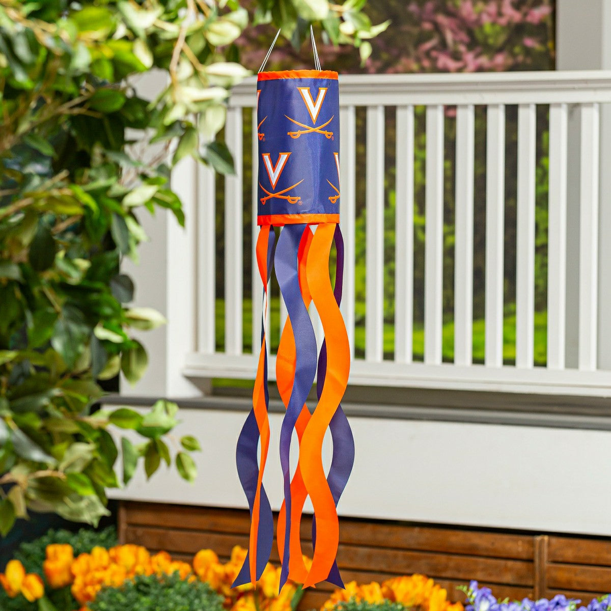 University of Virginia Windsock, Collegiate, Home