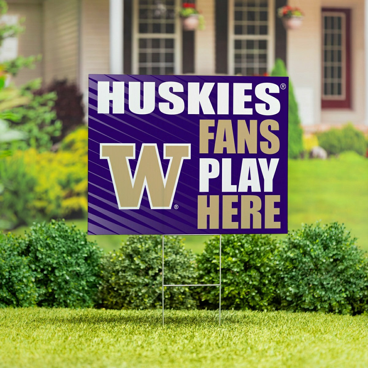 University of Washington Coroplast Yard Sign "Fans Play Here", Collegiate, Home
