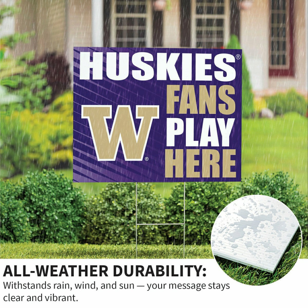 University of Washington Coroplast Yard Sign "Fans Play Here", Collegiate, Home