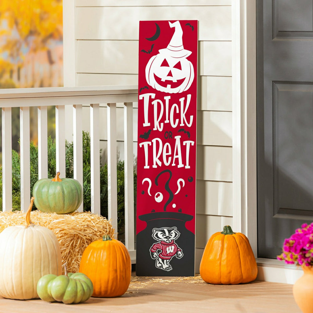 47" Double Sided Leaner, University of Wisconsin-Madison, Halloween, Collegiate, Home