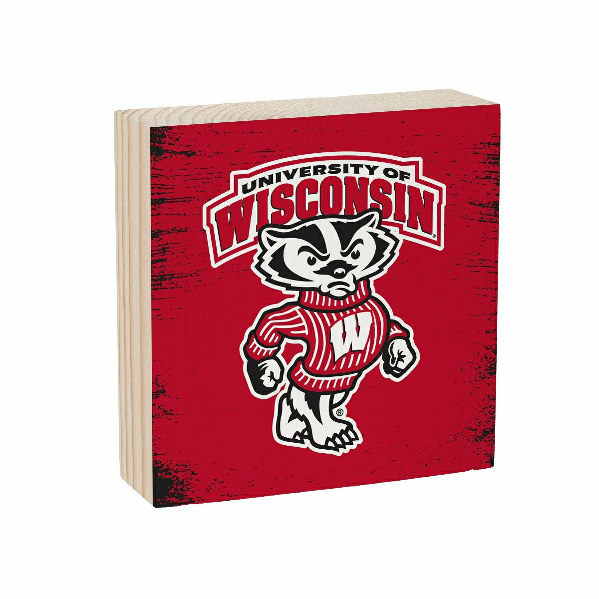 University of Wisconsin-Madison Plock, Down Home Fans, 6x6, Collegiate, Home
