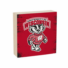 University of Wisconsin-Madison Plock, Down Home Fans, 6x6, Collegiate, Home