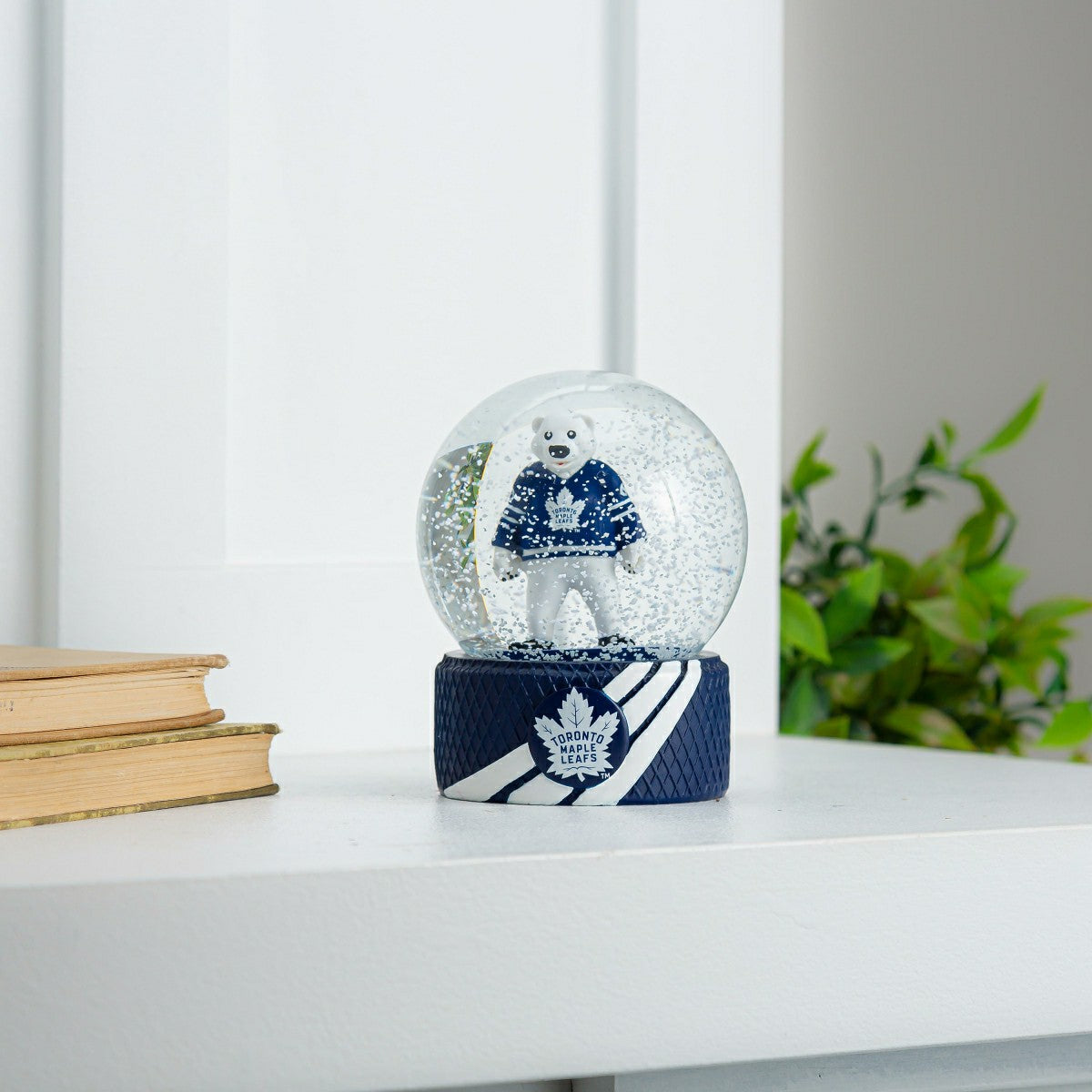 Water Globe, Toronto Maple Leafs, NHL, Home