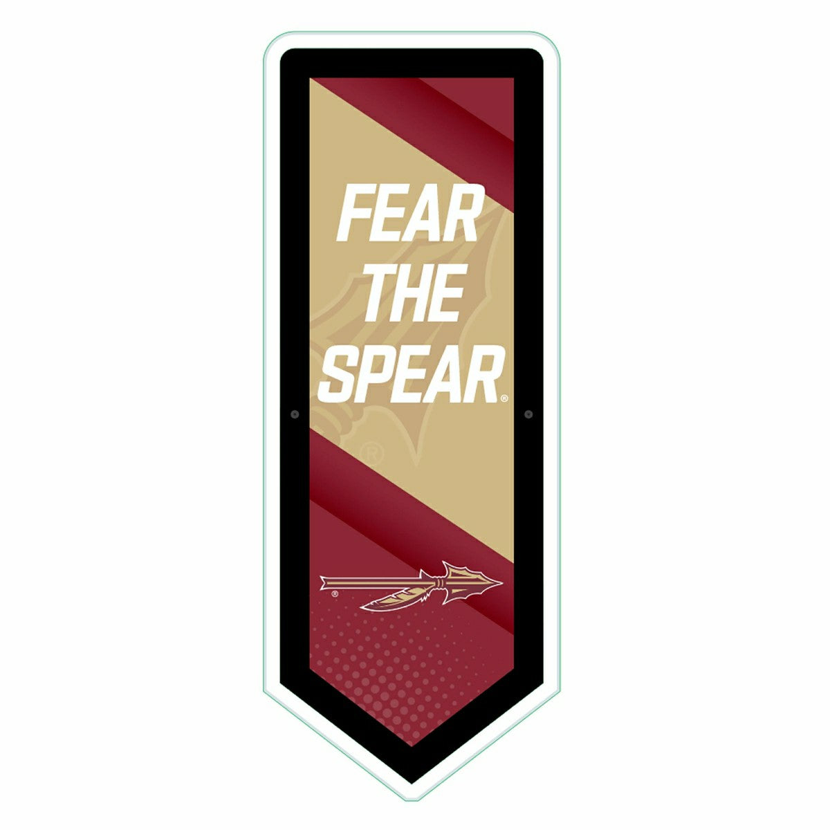 LED Wall Decor, Pennant, Florida State University, Collegiate, Home