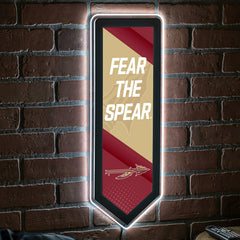 LED Wall Decor, Pennant, Florida State University, Collegiate, Home