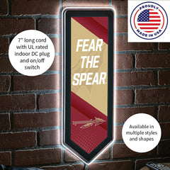 LED Wall Decor, Pennant, Florida State University, Collegiate, Home