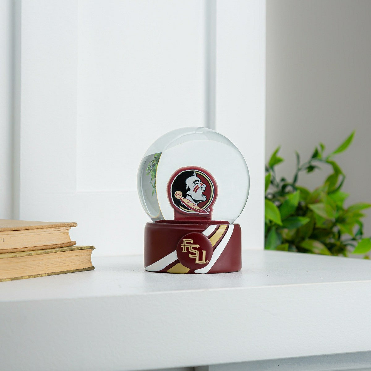 Water Globe, Florida State University, Collegiate, Home