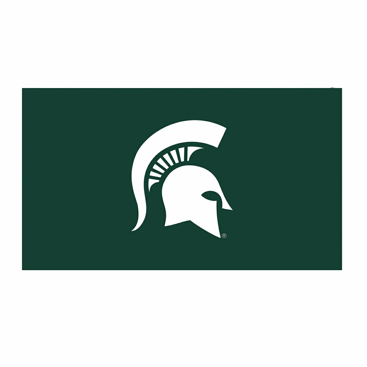 Full Color PVC Mat, 16" x 28", Michigan State University, Collegiate