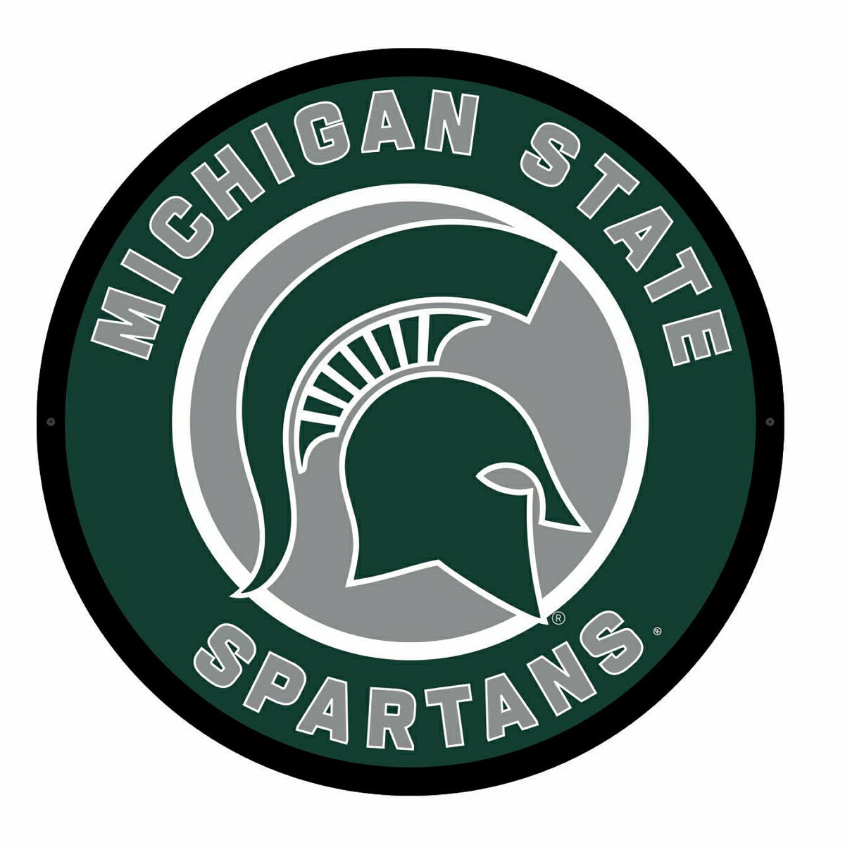 LED Wall Decor, Round, Michigan State University, Collegiate, Home