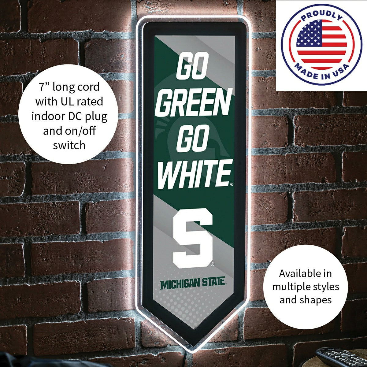 LED Wall Decor, Pennant, Michigan State University, Collegiate, Home