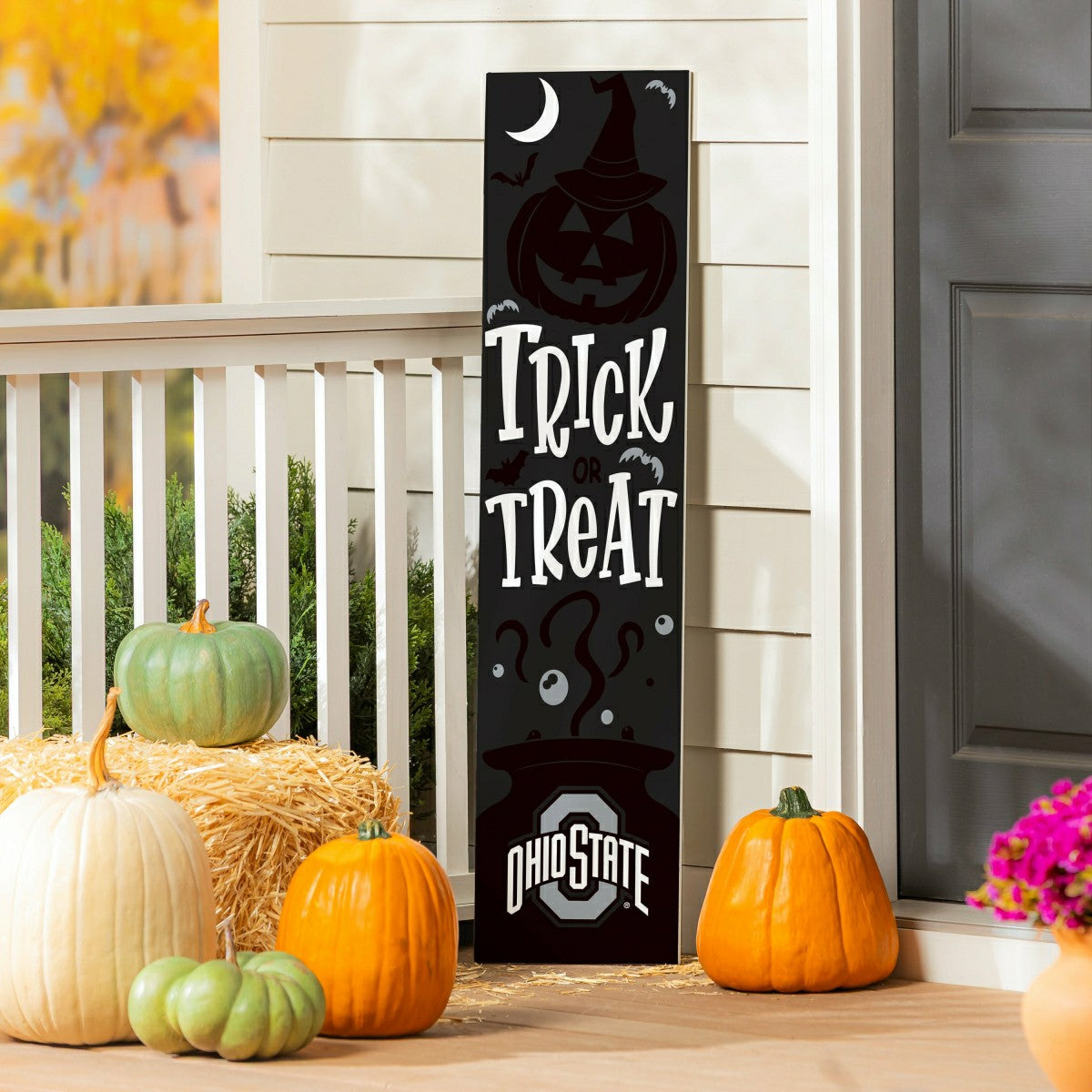 47" Double Sided Leaner, Ohio State University, Halloween, Collegiate, Home