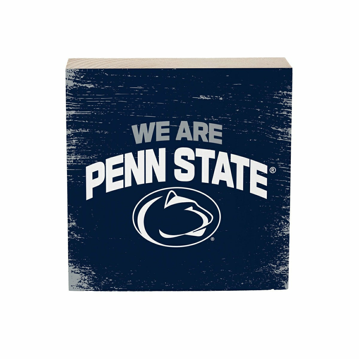 Penn State Plock, Down Home Fans, 6x6, Collegiate, Home