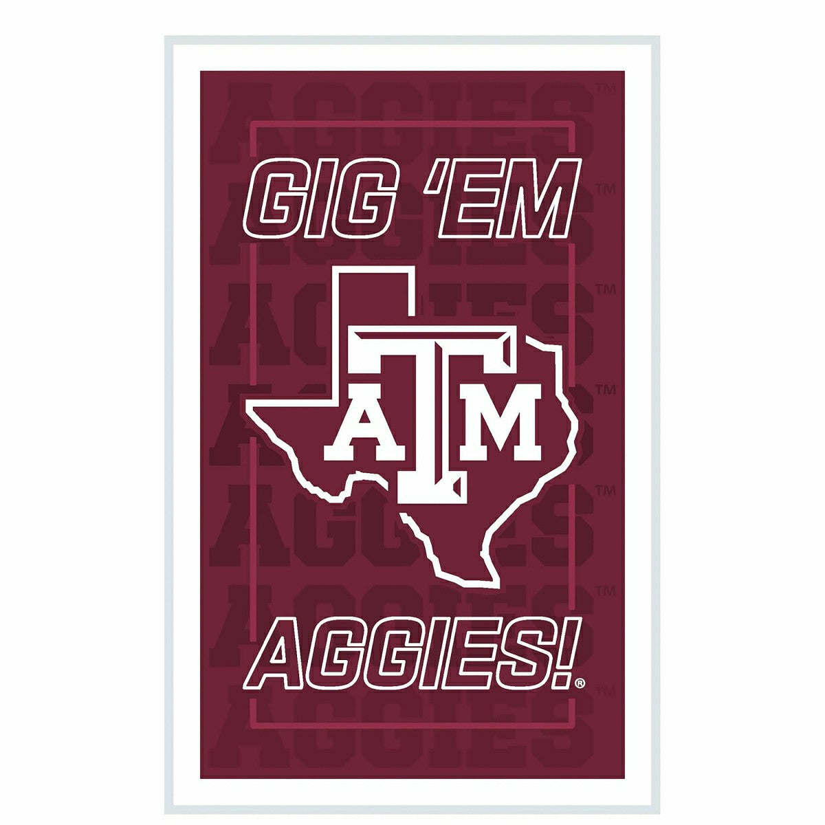 Texas A&M College Rectangle Neolite LED Decor, Collegiate, Home