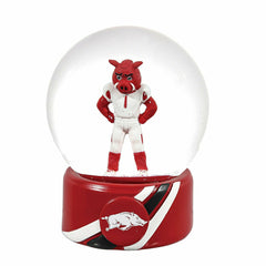 Water Globe, University of Arkansas, Collegiate, Home