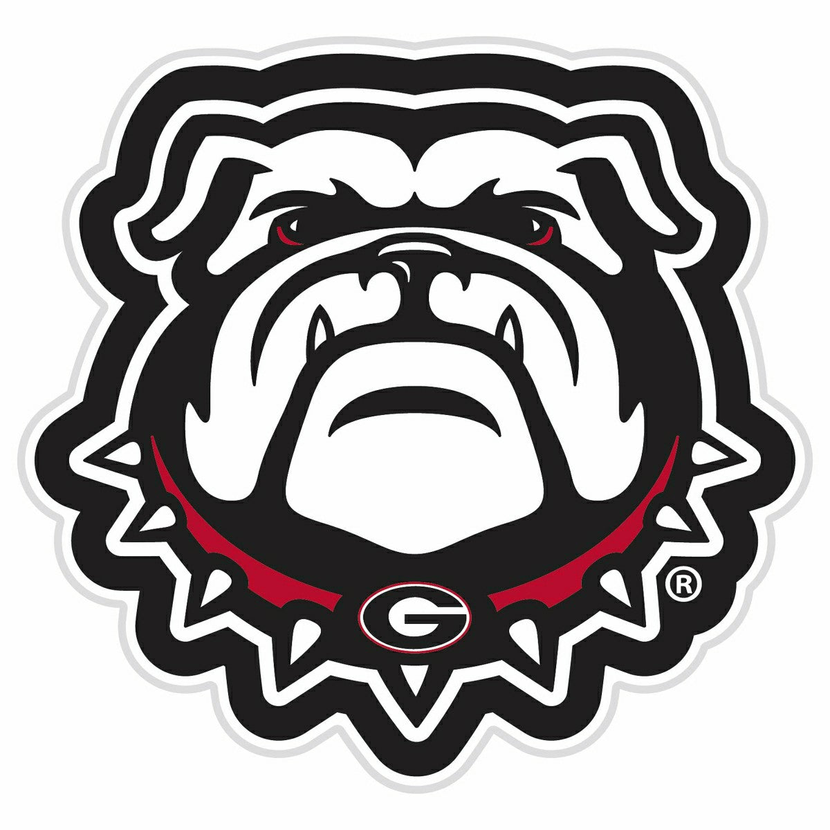 LED Wall Decor, Glazelite, College Mascot, University of Georgia, Collegiate, Home