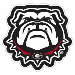 LED Wall Decor, Glazelite, College Mascot, University of Georgia, Collegiate, Home