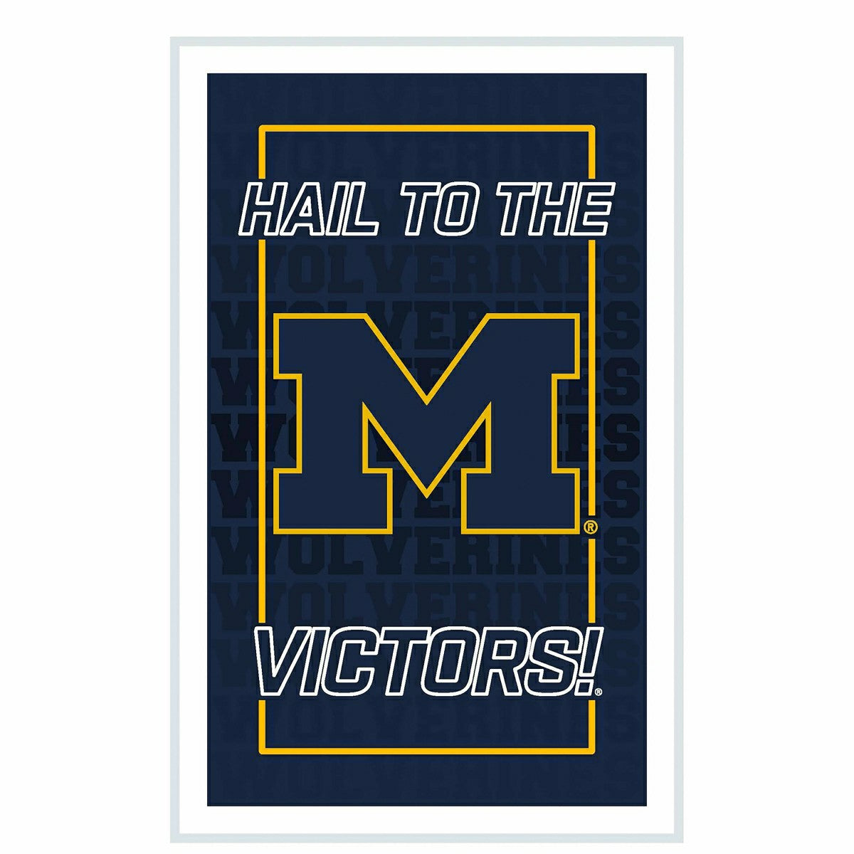 University Of Michigan College Rectangle Neolite LED Decor, Collegiate, Home