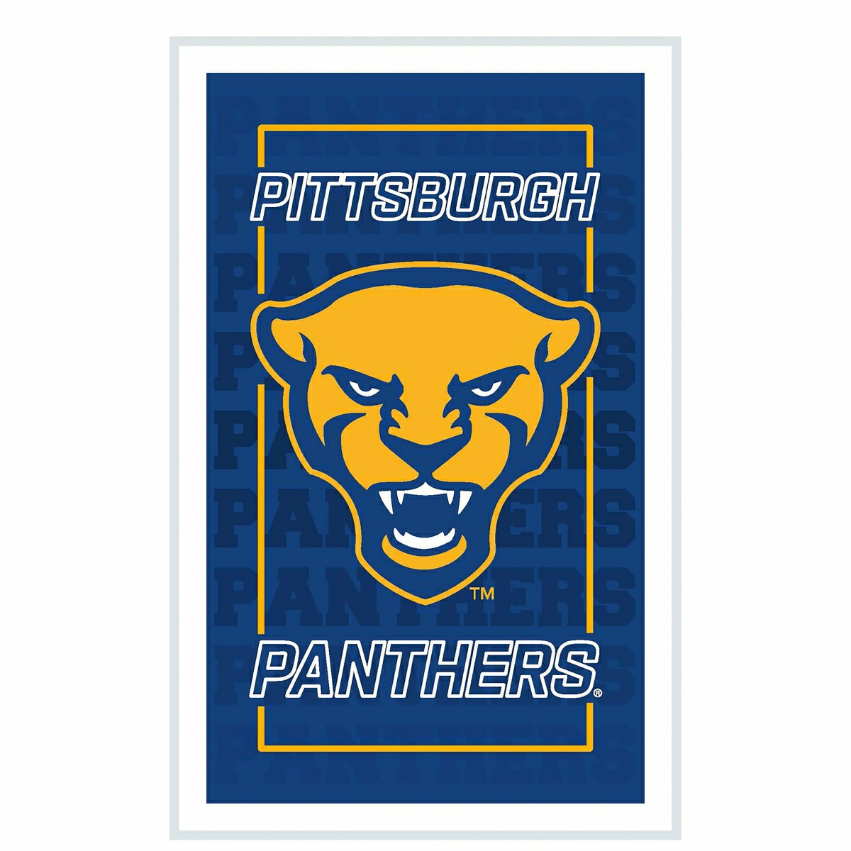 University of Pittsburgh College Rectangle Neolite LED Decor, Collegiate, Home