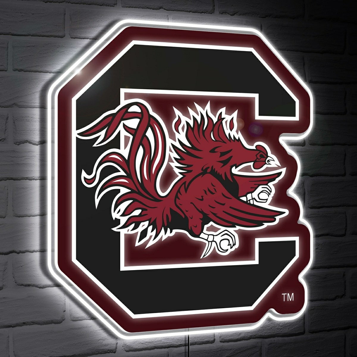 South Carolina LED Wall Decor, Glazelite, Logo, Collegiate, Home