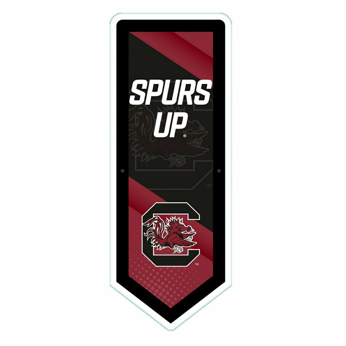 LED Wall Decor, Pennant, University of South Carolina, Collegiate, Home