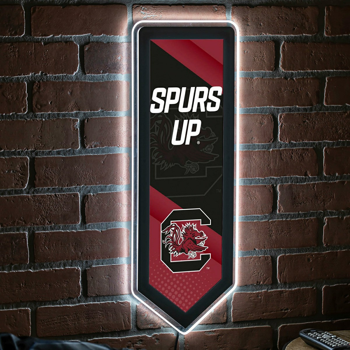 LED Wall Decor, Pennant, University of South Carolina, Collegiate, Home