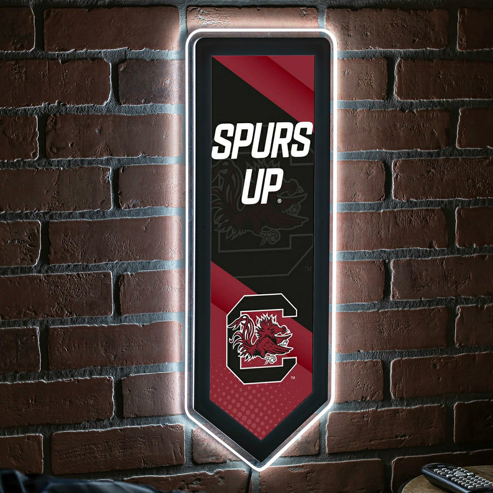 LED Wall Decor, Pennant, University of South Carolina, Collegiate, Home