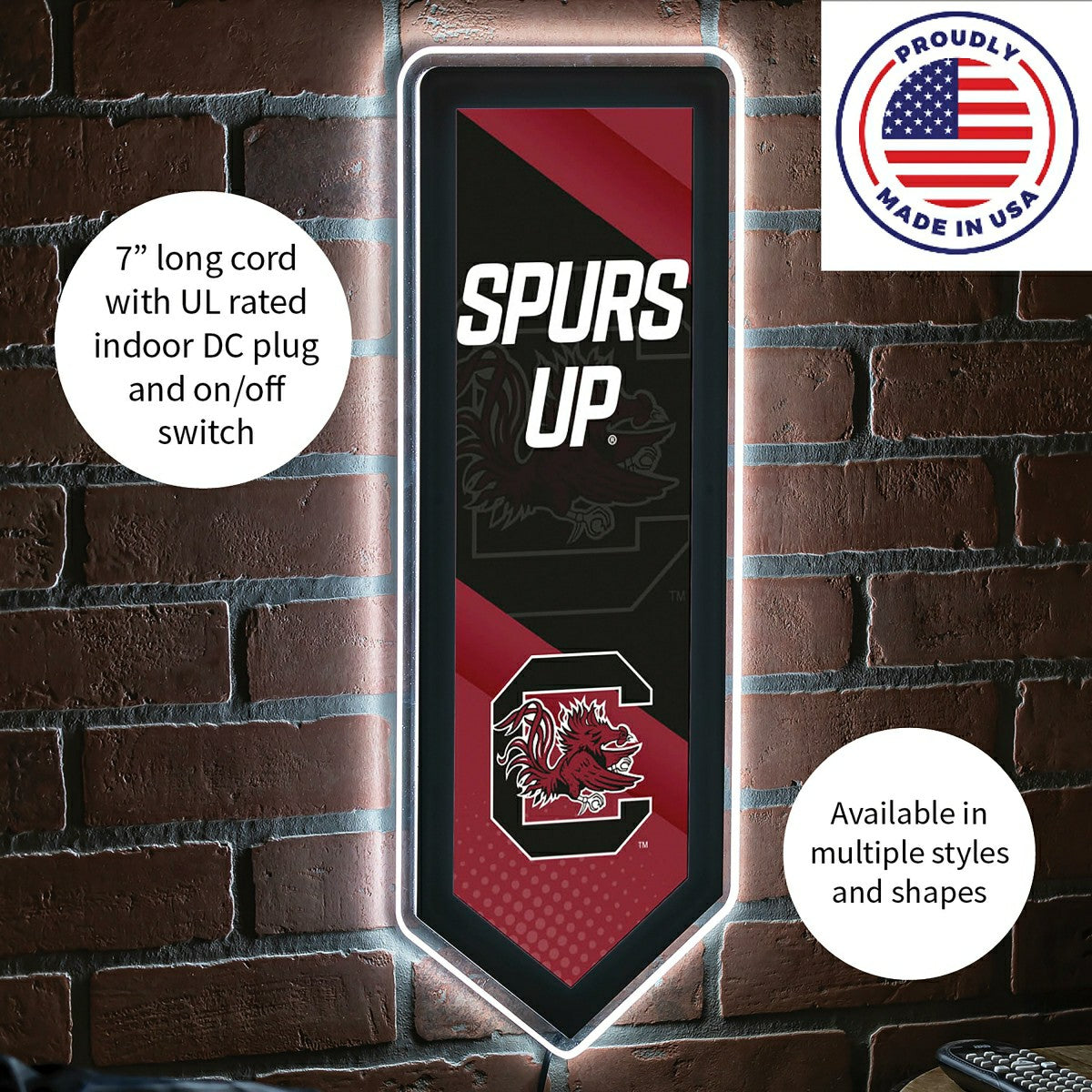LED Wall Decor, Pennant, University of South Carolina, Collegiate, Home