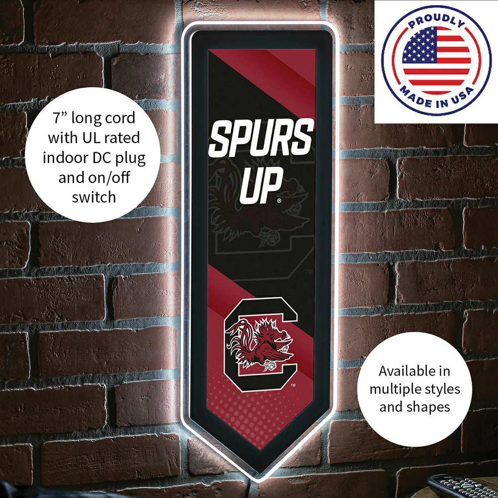 LED Wall Decor, Pennant, University of South Carolina, Collegiate, Home