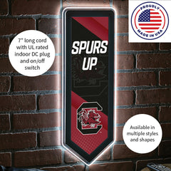 LED Wall Decor, Pennant, University of South Carolina, Collegiate, Home