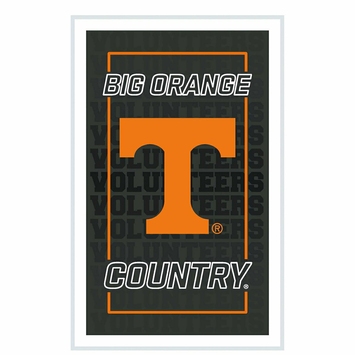 University of Tennessee College Rectangle Neolite LED Decor, Collegiate, Home