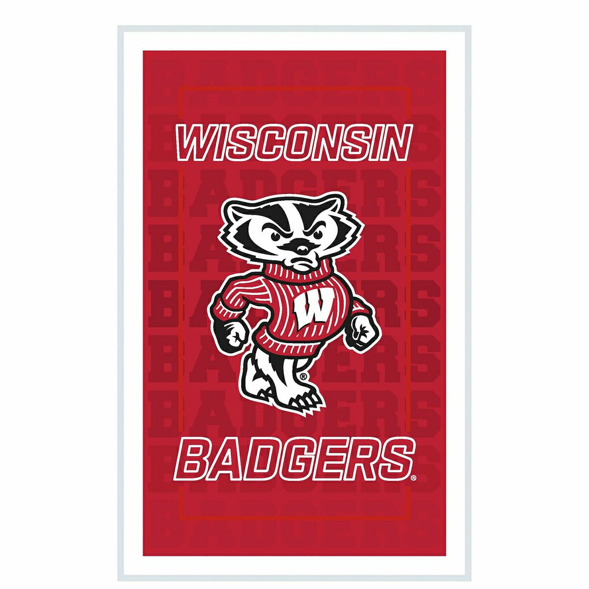 University of Wisconsin-Madison College Rectangle Neolite LED Decor, Collegiate, Home
