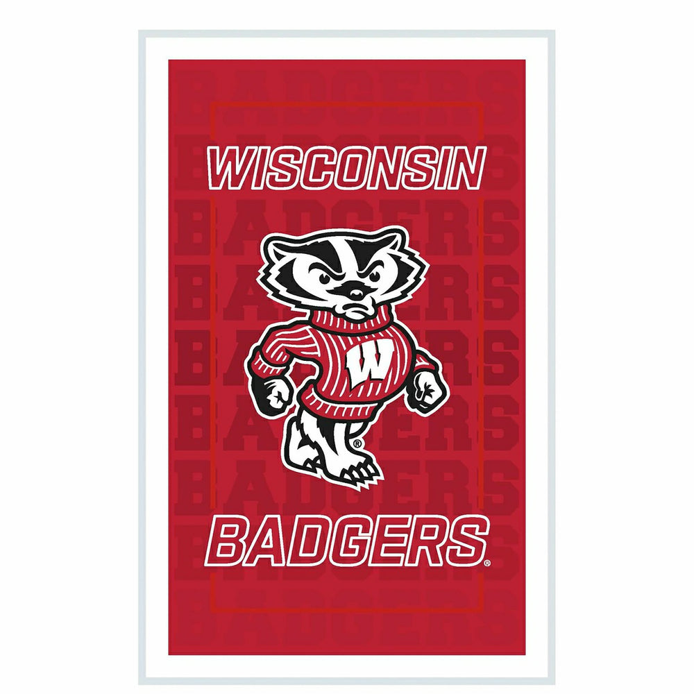 University of Wisconsin-Madison College Rectangle Neolite LED Decor, Collegiate, Home